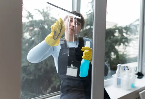 Nettoyage de vitres intérieures et extérieures à Montvicq